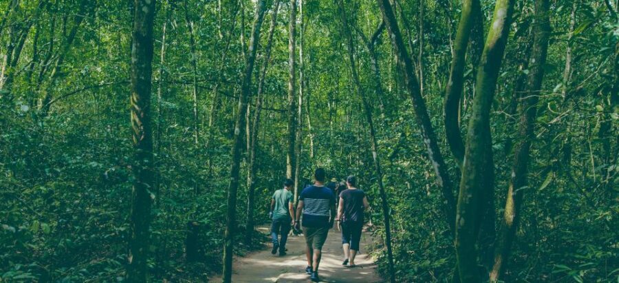 Private Chu Chi VIP Tour By Car ( 6 hours ) - Exploring the Itinerary