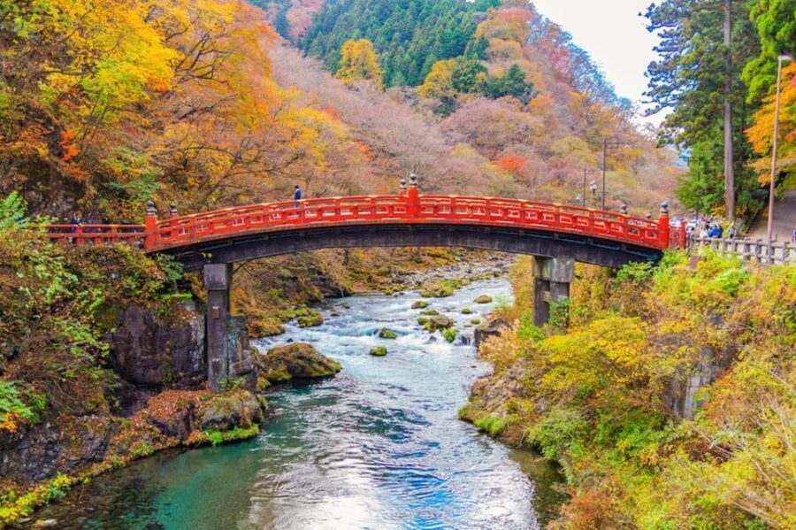 Private Customizable Nikko Full-Day Tour with English Driver - Who Will Love This Tour