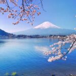 Private Customized Tour in Mount Fuji - The Real Experience: Authenticity and Comfort
