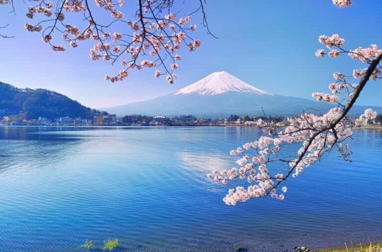Private Customized Tour in Mount Fuji - The Real Experience: Authenticity and Comfort
