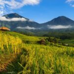 Private Full-Day Tour: Discover The Best of Bali Destination - How the Tour Unfolds: A Detailed Breakdown