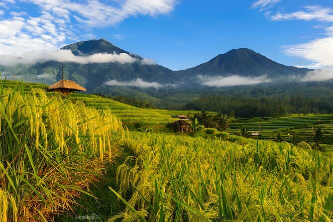 Private Full-Day Tour: Discover The Best of Bali Destination - How the Tour Unfolds: A Detailed Breakdown