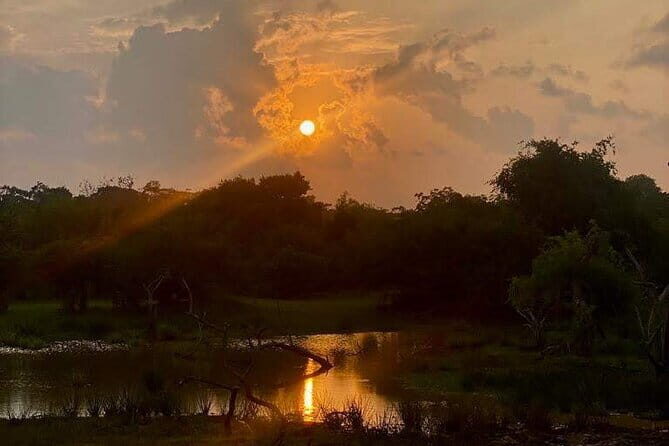 Private Full Day Udawalawe Safari Trip with Lunch - The Experience: What You Can Expect