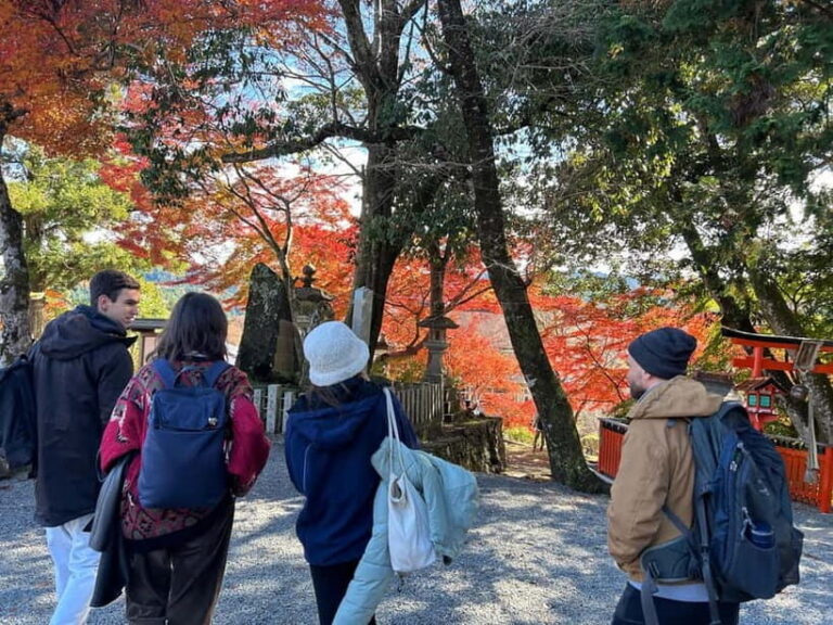 Private Guided Half-Day Walking Tour in Yoshinoyama - Who Will Love This Tour?