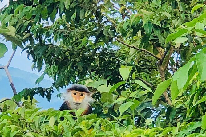 Private Jeep tour Marble and Monkey Mountains -Son Tra Peak - Practical Tips for Travelers