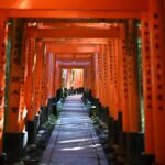 Private Kyoto Nara Tour by Car with Deer, Buddha and More - Why This Tour Works