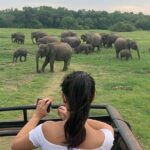 Private Multi Day Sri Lanka Tour with Chauffeur - Why This Tour Offers Great Value