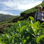Private Munnar Tea Trek - Why This Tour Is a Great Choice for Travelers