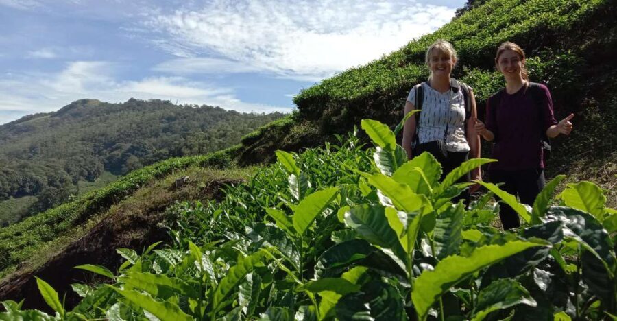 Private Munnar Tea Trek - Why This Tour Is a Great Choice for Travelers