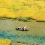 Private Ninh Binh Tour: Hoa Lu, Bai Dinh, Trang An &Mua Cave - The Value of This Tour