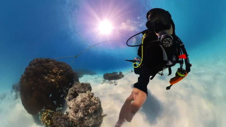 Private Padi Open water diver course - A Closer Look at the Experience