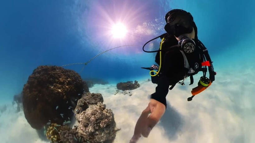 Private Padi Open water diver course - A Closer Look at the Experience