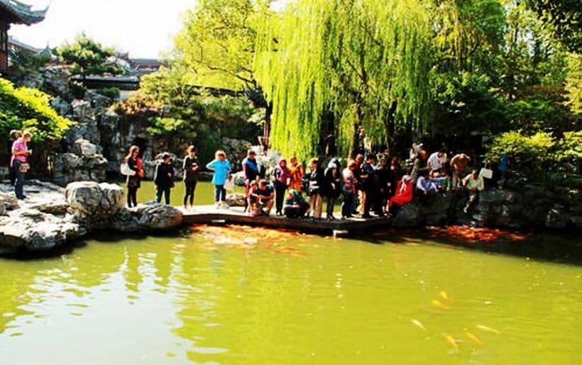 Private Shanghai Full Day City Tour with Old &New Highlights - Why This Tour Offers Great Value