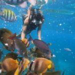 Private Snorkeling in Manta Bay, Gamat Bay & Wall at Nusa Penida - Why This Tour Offers Great Value