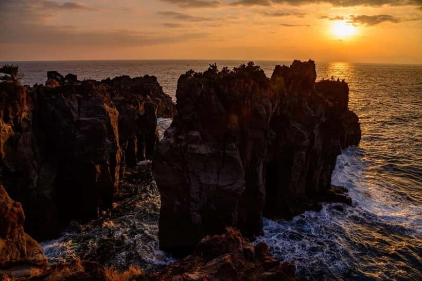 Private Tour : Izu Peninsula Day Trip with Cable Car Ride - FAQ