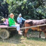 Private Tour to an Indian Village & Cooking Class - Practicalities & What to Know