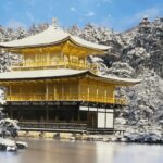 Private tour to Osaka&Kyoto&Nara(Pickup location selectable) - A Practical Guide to Your Kansai Private Day Trip