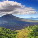 Private Ubud and Volcano Day Trip - Why This Tour Works for Different Travelers