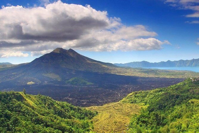 Private Ubud and Volcano Day Trip - Why This Tour Works for Different Travelers