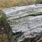 Private Walking Tour in Fukagawa, Tokyo - Practical Details and Experience