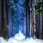 Private Winter Togakushi Tour: Snow, Shrine, & Cedar Trees - What Makes This Tour Truly Valuable