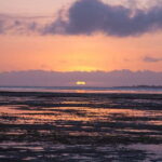 Puerto Princesa: Firefly Watching Bay Cruise with Dinner - What Makes This Tour Stand Out?