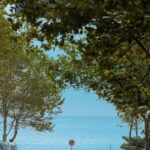 Qingdao: Badaguan Scenic Area Guided Walking Tour - Local Cuisine and Zhongshan Old Street