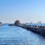 Qingdao Charm: History, Crafts, Offshore View & Night Market - Night Markets and Evening Buzz
