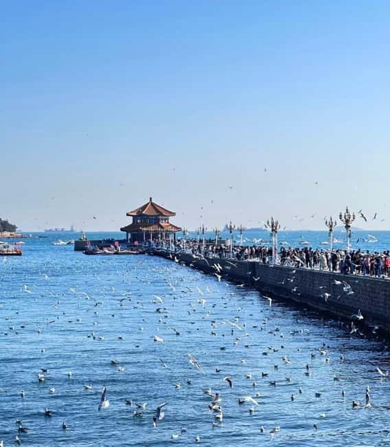 Qingdao Charm: History, Crafts, Offshore View & Night Market - Night Markets and Evening Buzz