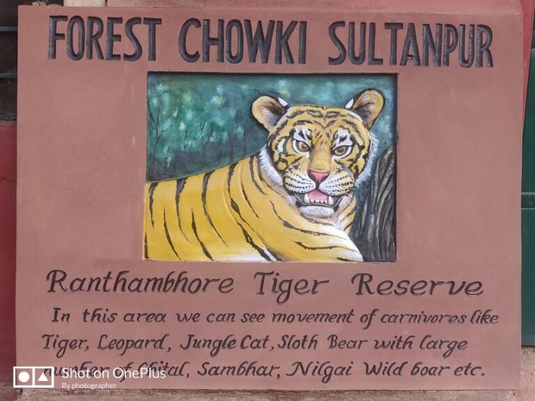 Ranthambore Tiger Safari Day Trip from Jaipur -All Inclusive - Who Is This Tour Best For?