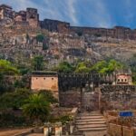 Ranthambore WildLife (tiger safari)Full Day Tour From Jaipur - Practical Details and Value