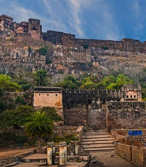 Ranthambore WildLife (tiger safari)Full Day Tour From Jaipur - Practical Details and Value