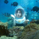 Red River Tours - Sea Walking Experience in Phu Quoc - How the Tour Is Structured