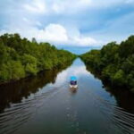 Sabah: Kawa Kawa Private River Cruise w/ Monkeys & Fireflies - Practical Details and What to Expect