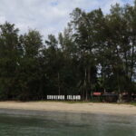 Sabah: Pulau Tiga Snorkeling Day Trip with Lunch - Key Points