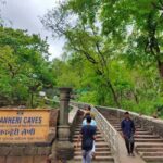Sacred Caves & Green Escape: Kanheri Buddhist Caves & SGNP - Who Should Consider This Tour?