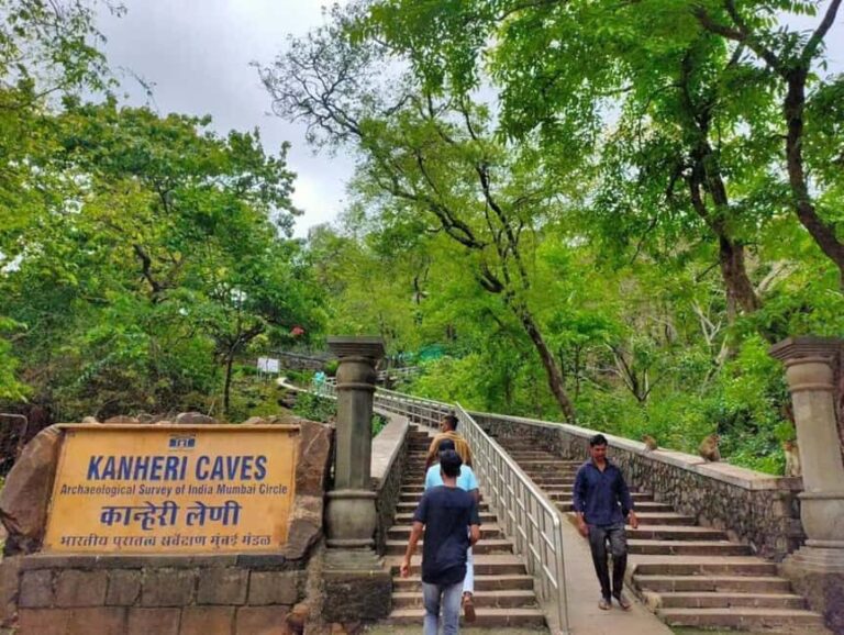 Sacred Caves & Green Escape: Kanheri Buddhist Caves & SGNP - Who Should Consider This Tour?