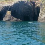 Saga: Karatsu Kunchi, Balloon, & Fox Wedding Festivals Tour - Final Thoughts: Who Will Love This Tour?