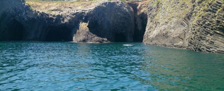 Saga: Karatsu Kunchi, Balloon, & Fox Wedding Festivals Tour - Final Thoughts: Who Will Love This Tour?