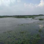 Saharanpur Uncovered: A 2-Day Escape into Culture & Craft - The Experience in Detail