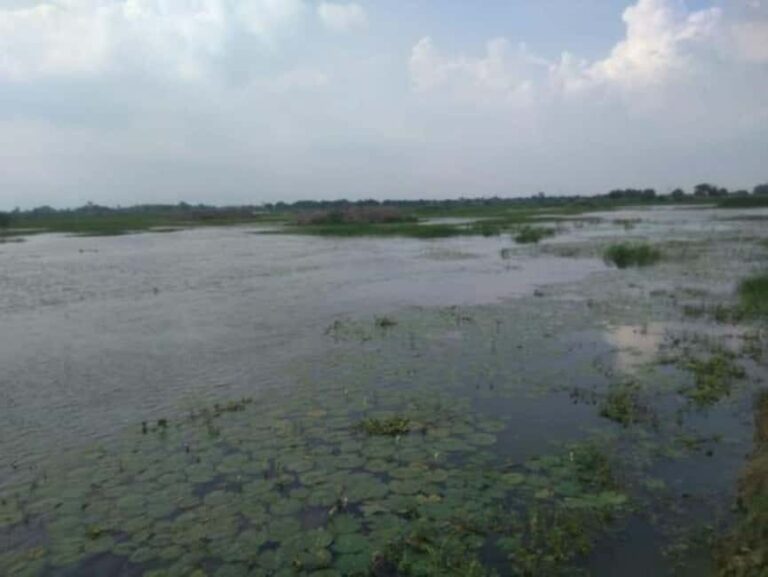 Saharanpur Uncovered: A 2-Day Escape into Culture & Craft - The Experience in Detail