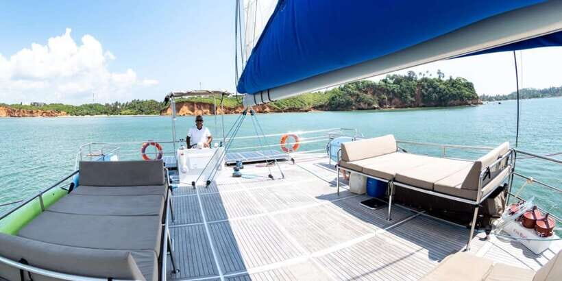 Sail Lanka Charter - Whale Watching Cruise In Mirissa - What You Can Expect from the Experience