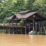 Sandakan: Sukau Rainforest Wildlife Journey & Dawn Cruises - Who Should Consider This Tour?