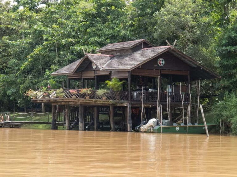 Sandakan: Sukau Rainforest Wildlife Journey & Dawn Cruises - Who Should Consider This Tour?