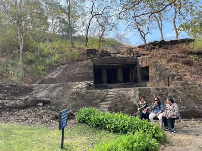Sanjay Gandhi National Park + Kenheri Caves + Lion Safari - Who Will Love This Tour?