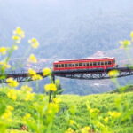 Sapa: Fansipan Cable, Cat Cat Village, Moana Instagram Tour - What’s Included and What’s Not