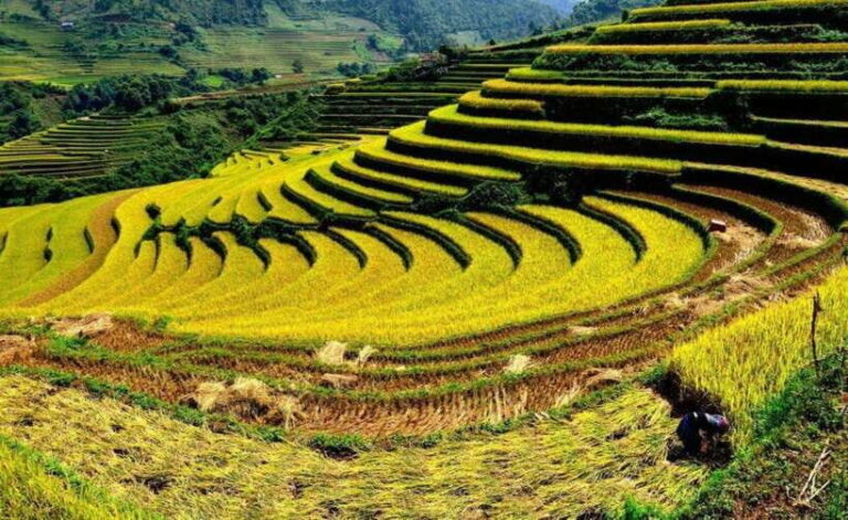 Sapa: Half Day Treck To Visit Y Linh Ho , Lao Chai, Ta Van - Final Thoughts: Who Will Love This Tour?