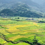 Sapa: Private Highlights Day Tour with Lunch - What to Expect from the Itinerary
