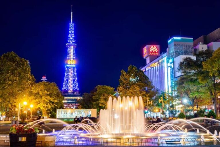 Sapporo: Illuminated Landmarks and TV Tower Night View Tour - The Sum Up
