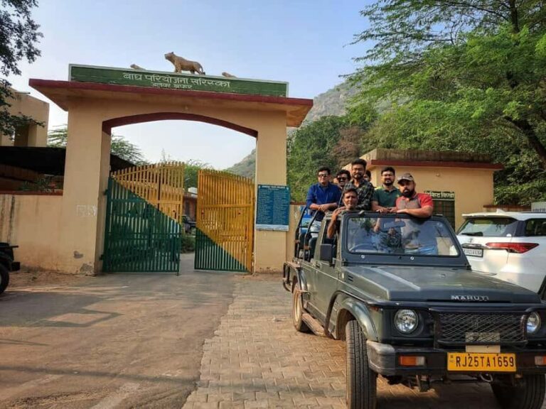 Sariska : Online Safari Booking, Bala Quila Safari - The Safari Types: Gypsy and Canter
